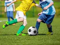 张子枫名誉,案获判胜利,对方需履行,米乐体育平台,米乐体育官方网站,米乐体育登录入口,米乐体育app下载