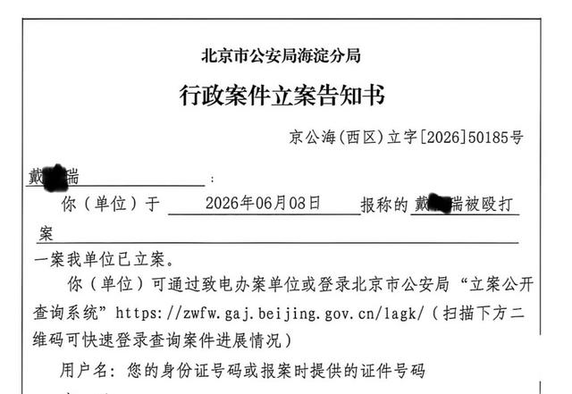 英雄联盟11总,米乐体育App,决赛战队荣耀归来