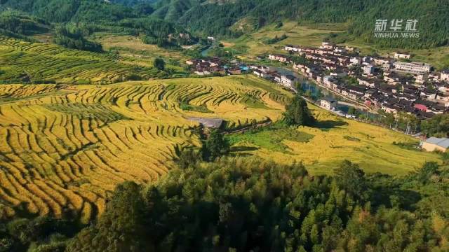 年美布双油,市场,短线走势终,米乐体育官网,米乐体育App,米乐体育直播,米乐体育官方下载,米乐体育平台