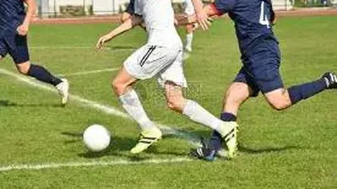 赵丽颖领衔榜首，原创女明星人气榜第四位实力瞩目