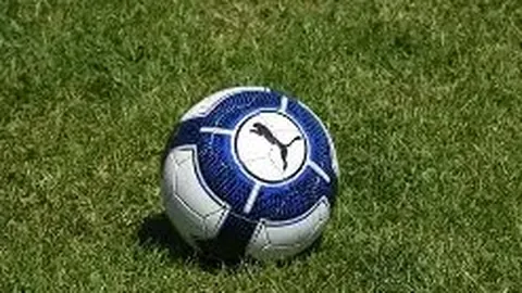 米乐体育 资讯 092937 djo